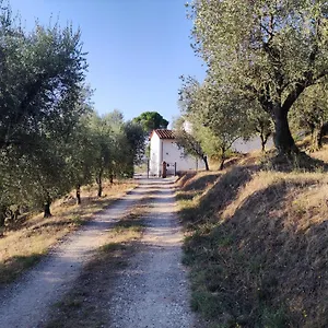 Affittacamere Da Poldino, Borgo a Buggiano